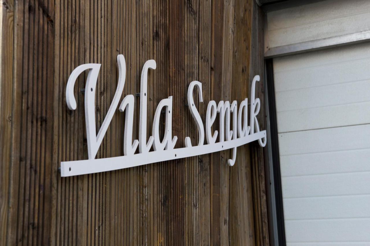 Vila Senjak Βελιγράδι Εξωτερικό φωτογραφία